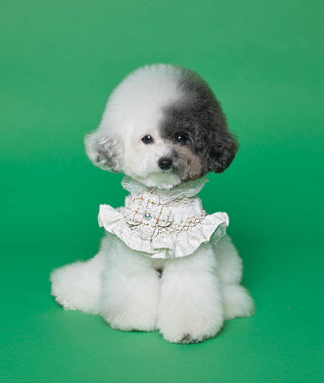 White Swan Tweed Top Harness