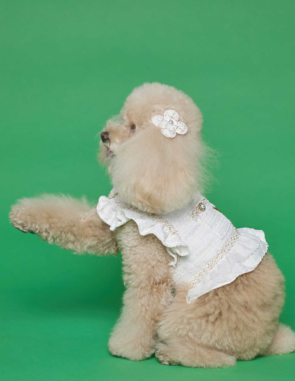 White Swan Tweed Top Harness