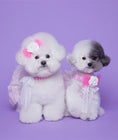 Load image into Gallery viewer, Pink Tutu
