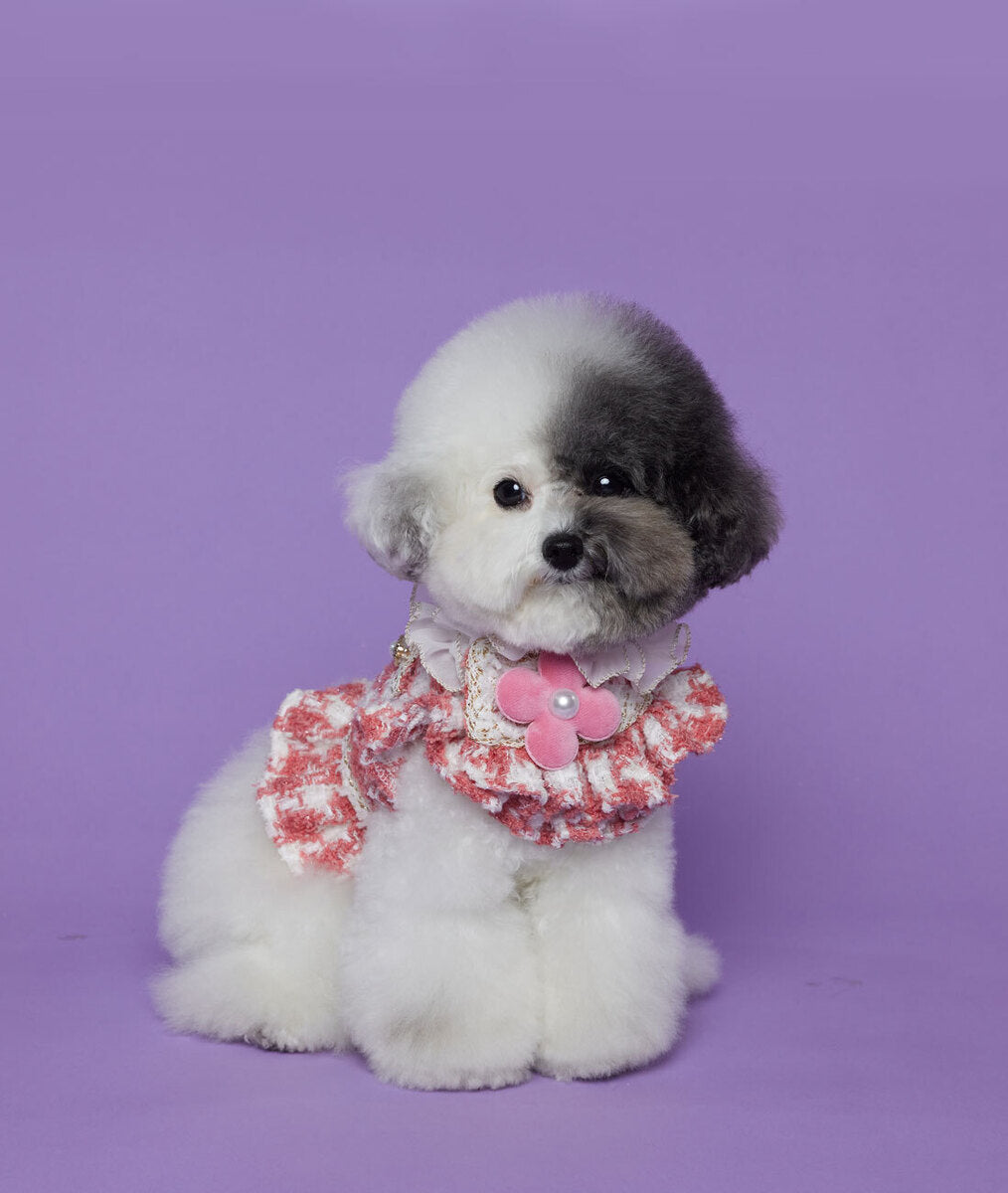 Hound Tooth Tweed - Coral Pink