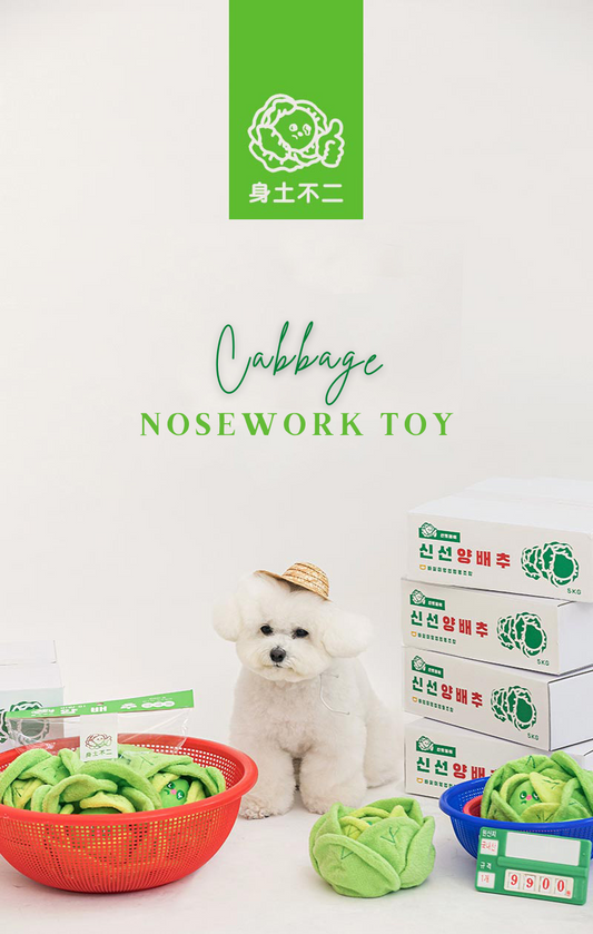 Cabbage Nosework Toy