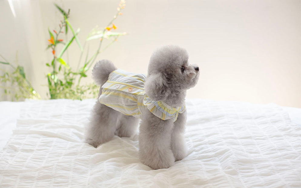 Sunkist Dress