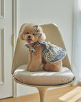 Load image into Gallery viewer, Miriel Dress - Cotton Check
