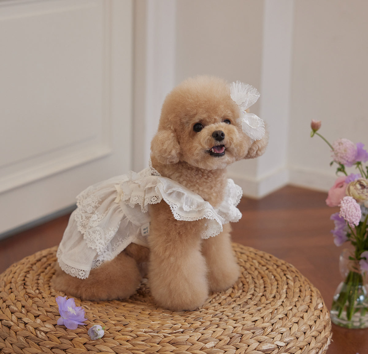 Florence Dress