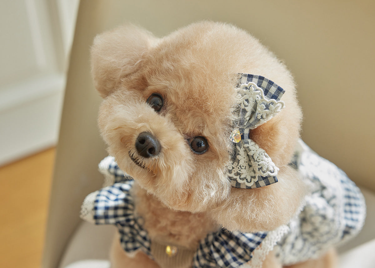 Miriel Dress - Cotton Check