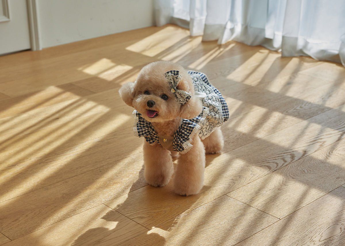 Miriel Dress - Cotton Check