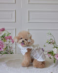 Load image into Gallery viewer, Sugar Lacey Dress
