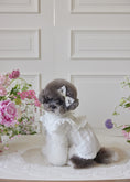 Load image into Gallery viewer, Sugar Lacey Dress
