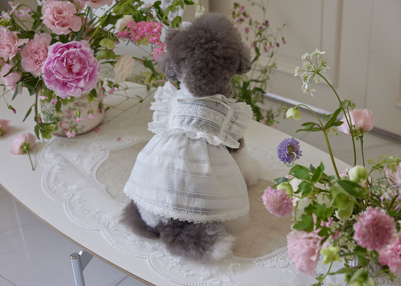 Sugar Lacey Dress
