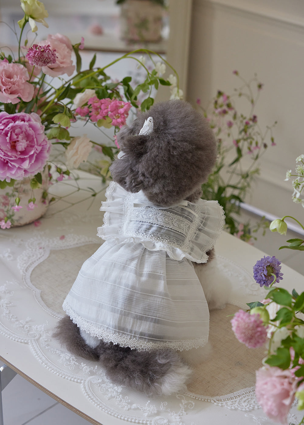 Sugar Lacey Dress