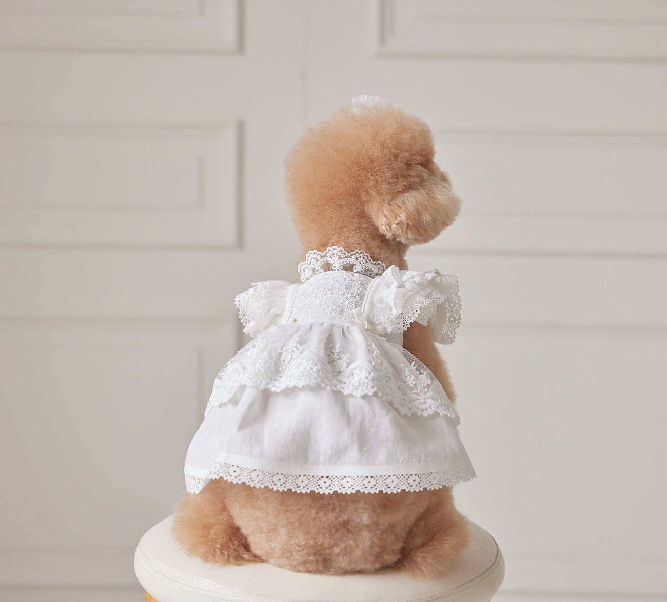 Florence Dress