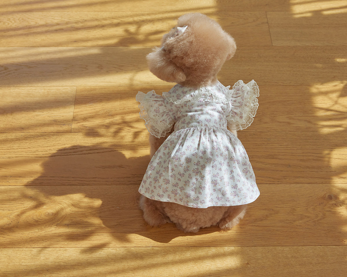 Angel Flower Dress (3 color)