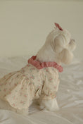 Load image into Gallery viewer, Cannele Frill Dress
