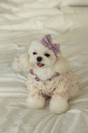 Cannele Frill Dress