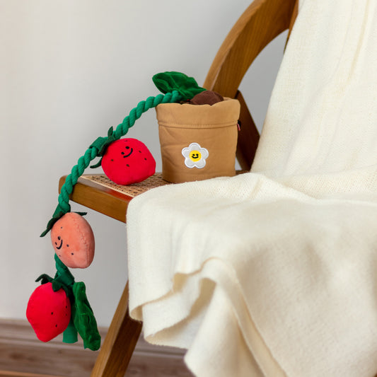 Strawberry tug toy