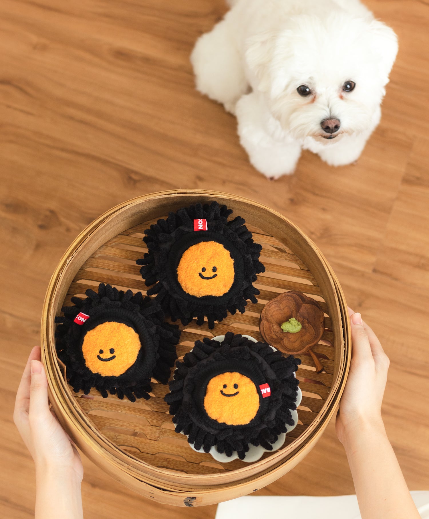 Sea urchin catch toy