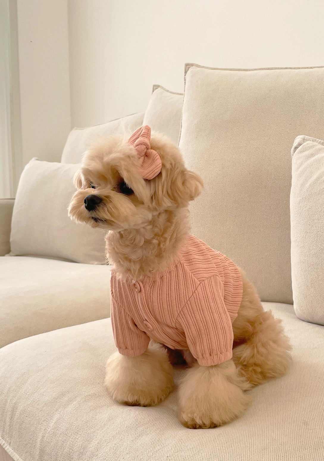 Jelly Bean Cardigan