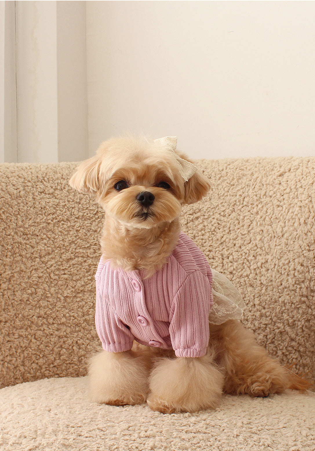 Jelly Bean Cardigan