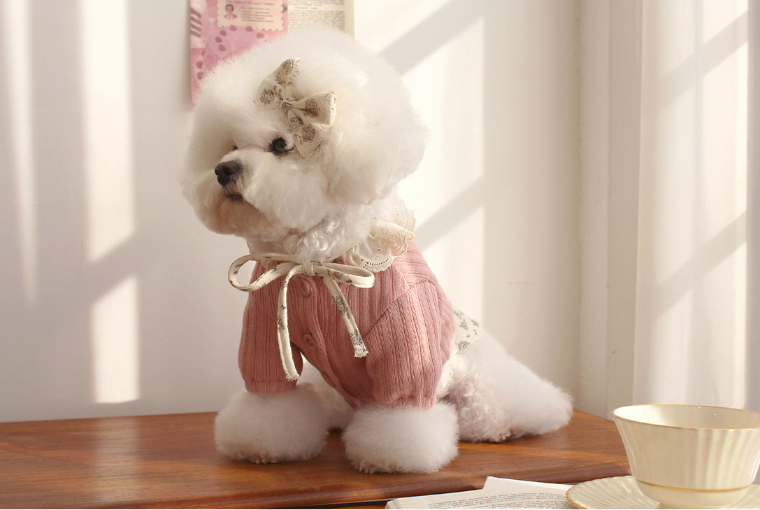 Jelly Bean Cardigan