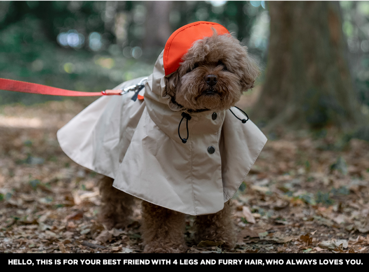 Easy Wear Raincoat