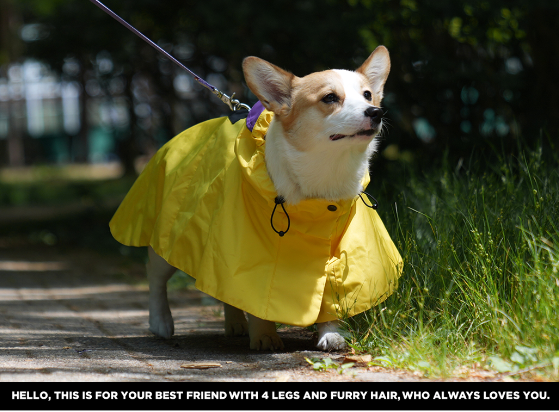 Easy Wear Raincoat
