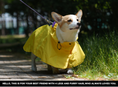 Load image into Gallery viewer, Easy Wear Raincoat
