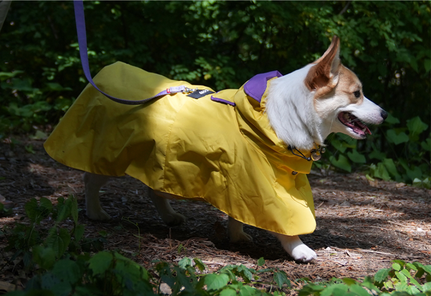 Easy Wear Raincoat