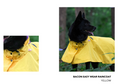 Load image into Gallery viewer, Easy Wear Raincoat

