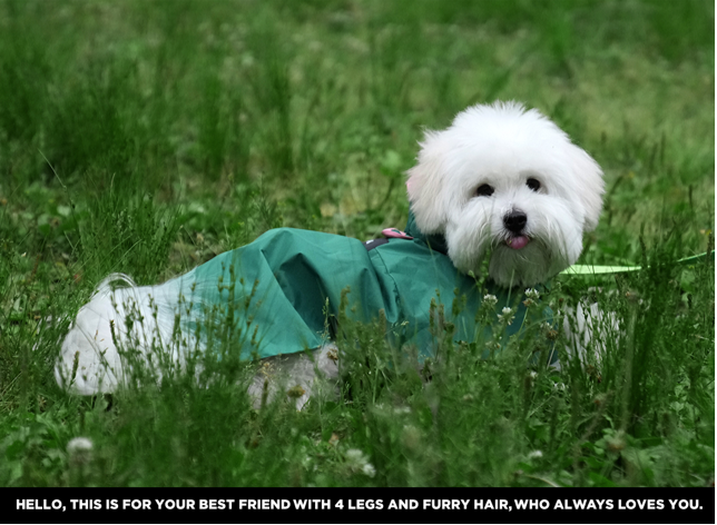 Easy Wear Raincoat