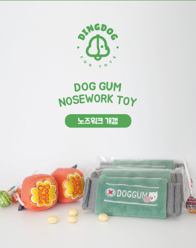 Dog Gum Nosework Toy