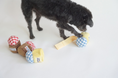 Load image into Gallery viewer, Dingdog Jam Nosework Toy
