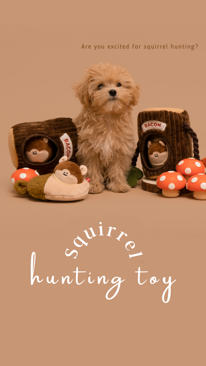Squirrel Hunting Toy