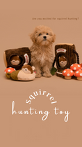 Load image into Gallery viewer, Squirrel Hunting Toy
