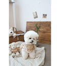 Load image into Gallery viewer, Cozy Harness (Beige & Beige Stripes)
