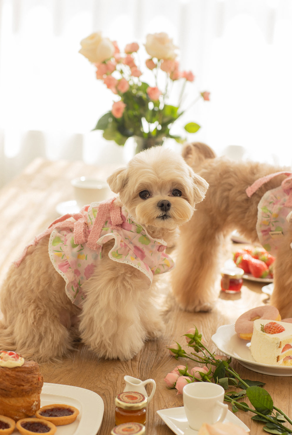 Strawberry Omelet Bolero