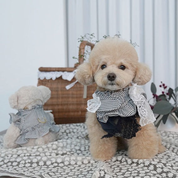 [READY STOCK] Autumn Collection Harness