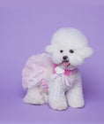 Load image into Gallery viewer, Pink Tutu
