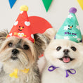 Load image into Gallery viewer, Party Series - Party Hat Set

