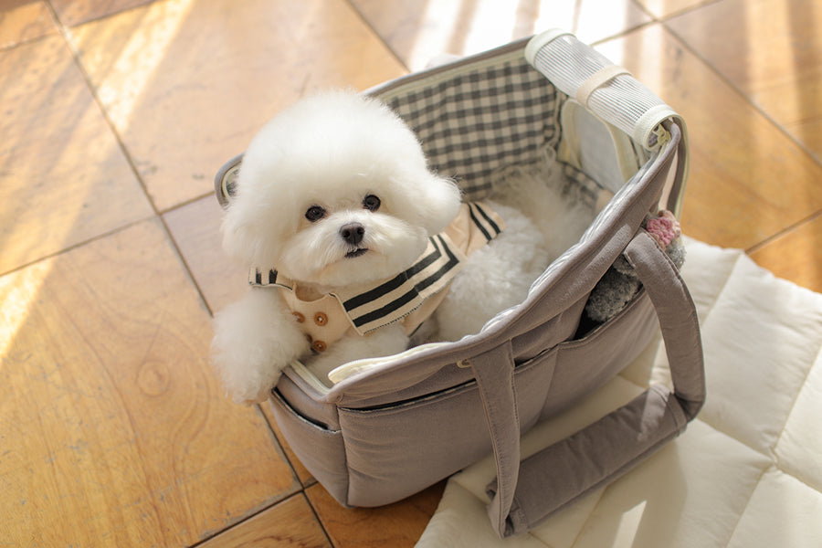 Check Two-in-one Should Bag - Grey