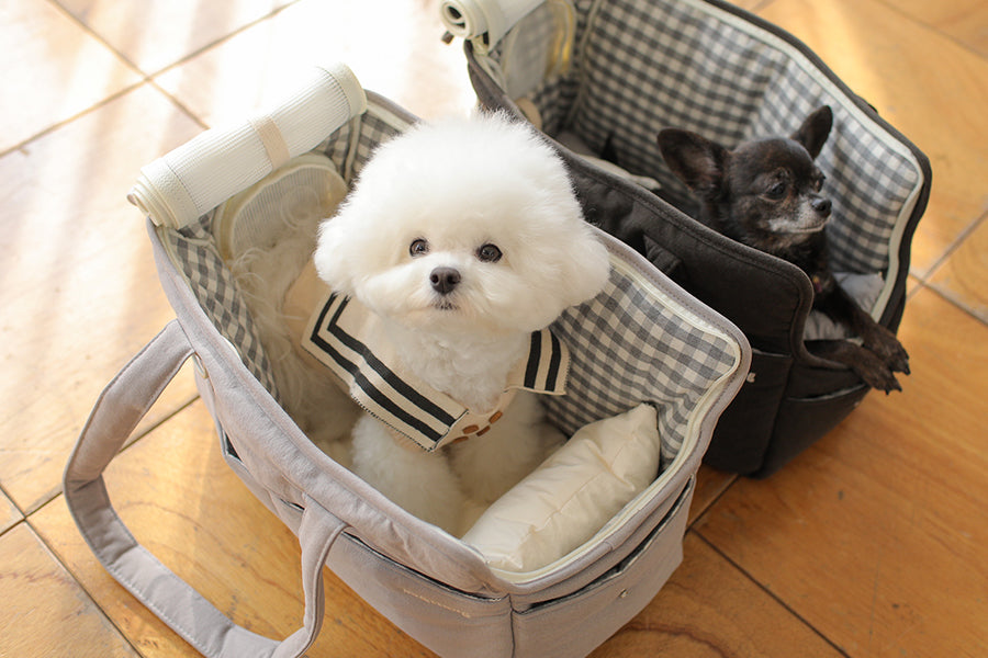 Check Two-in-one Should Bag - Grey