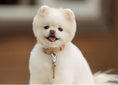Load image into Gallery viewer, Leather Collar (6 colors)

