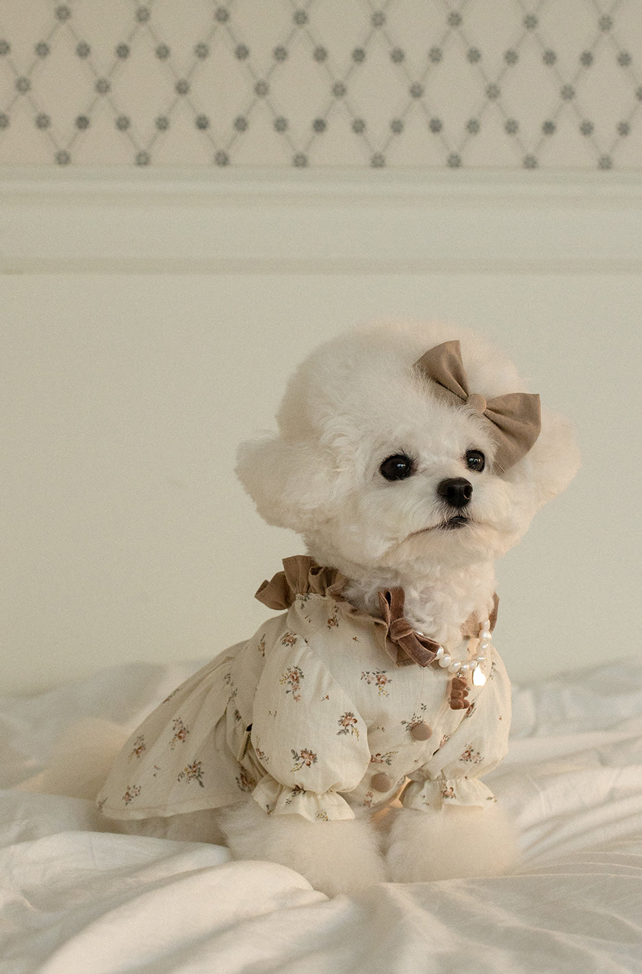 Cannele Frill Dress
