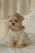 Load image into Gallery viewer, Cannele Frill Dress
