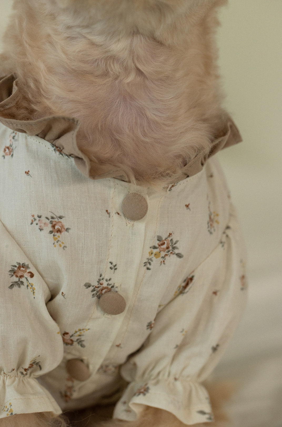 Cannele Frill Dress
