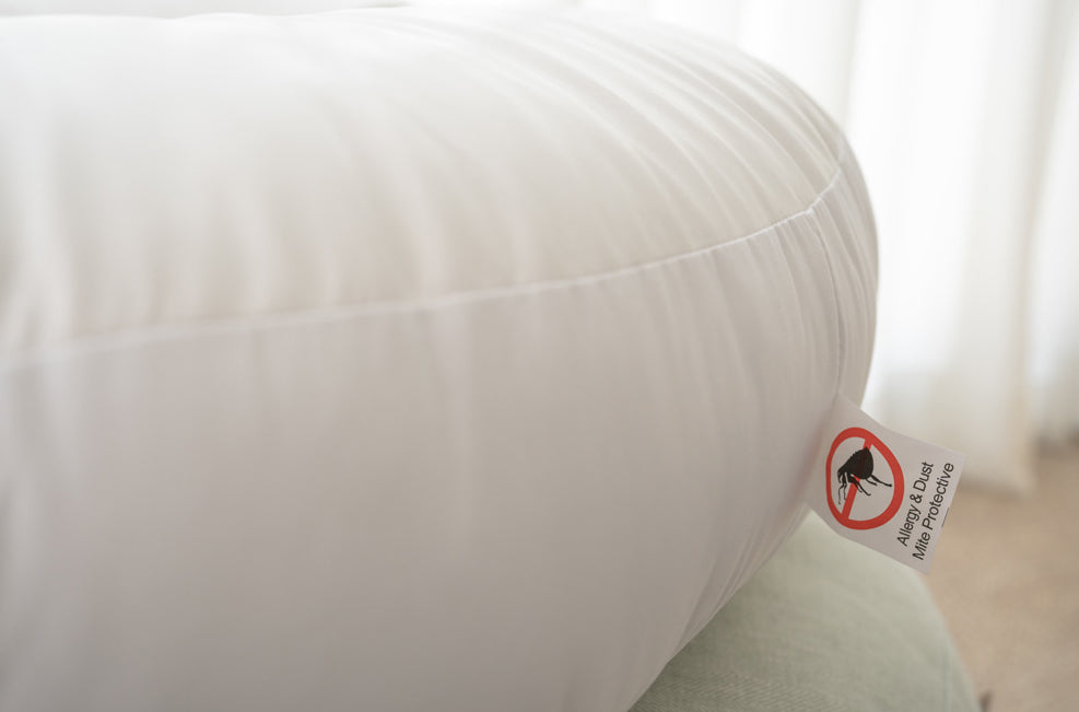 Linen Cushion ( 4 colors)
