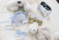 Load image into Gallery viewer, Summer Collection- Bebe Harness
