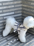Load image into Gallery viewer, French Striped Harness (with leash)
