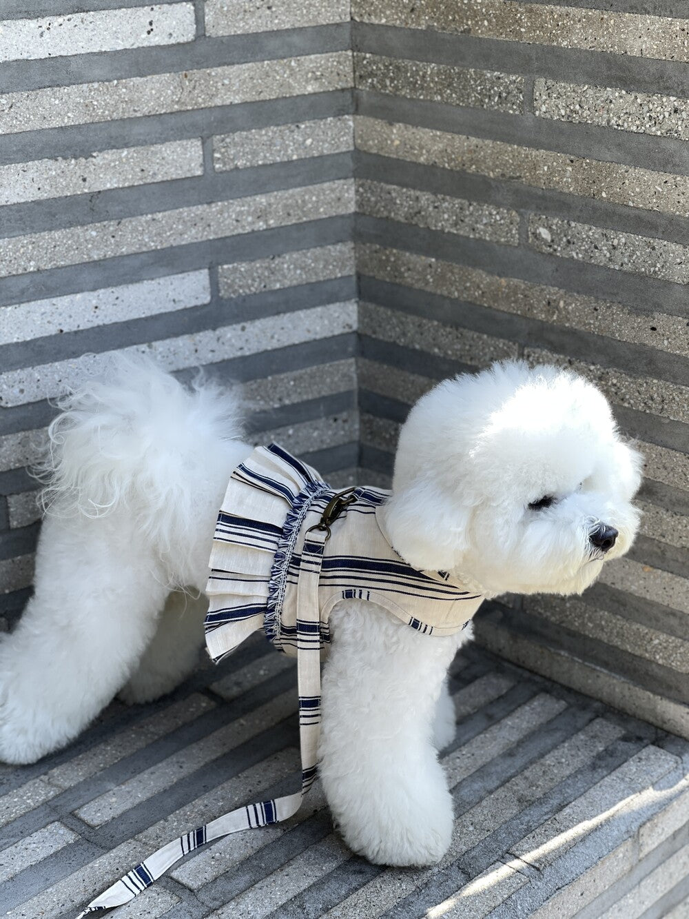 French Striped Harness (with leash)