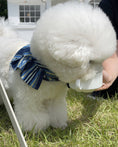 Load image into Gallery viewer, Royal Denim Stripe Harness (with leash)
