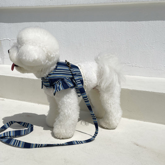 Royal Denim Stripe Harness (with leash)